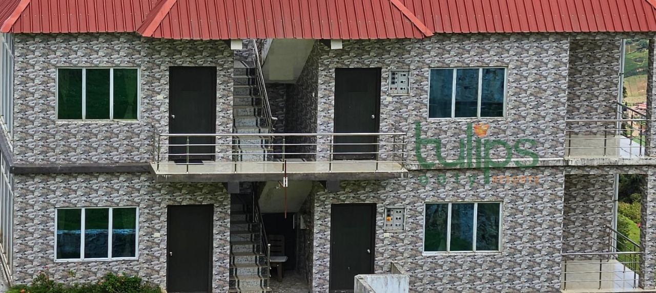 Tulips Village Resorts 우티 외부 사진